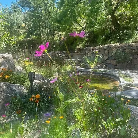 Natural Park - Privacy *